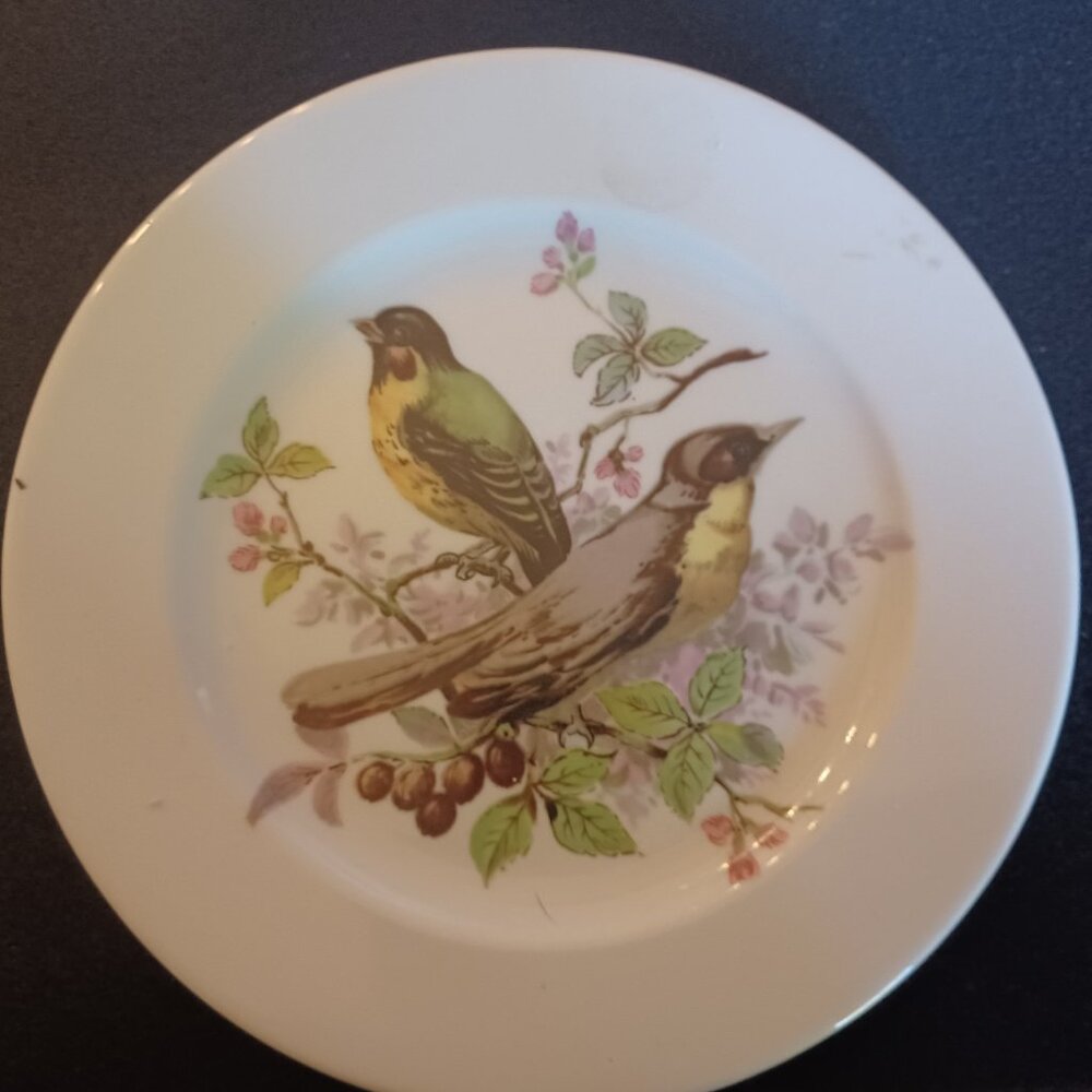 Bavaria Schumann Arzberg Bird Wall plate